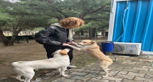 sokak hayvanlarının dostluğunu kazanma projesi